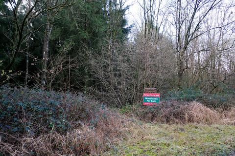 undefined, Pinkwood Lane, Bruton BA10