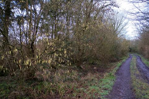 undefined, Pinkwood Lane, Bruton BA10