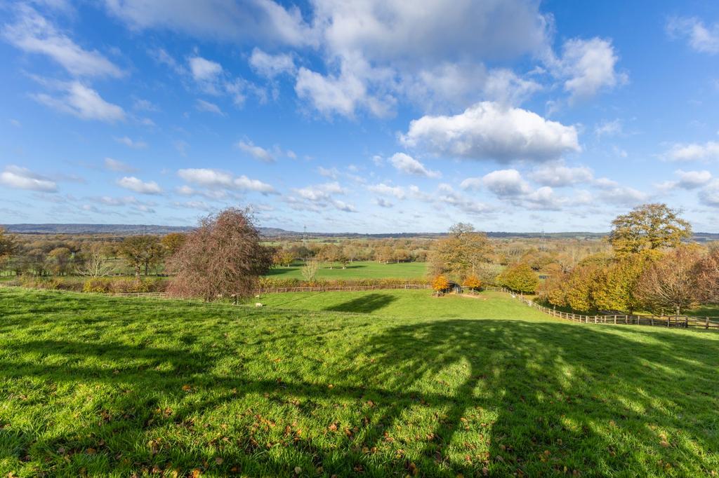 Grounds