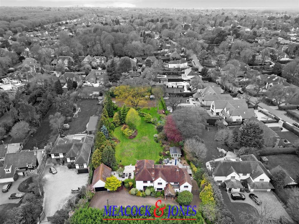 DJI 0142dp copy.jpg