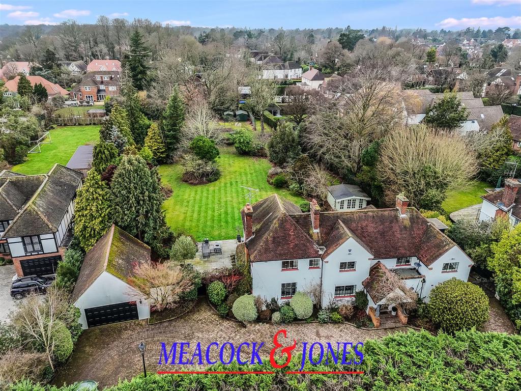 DJI 20260202132308 0229 D.jpg