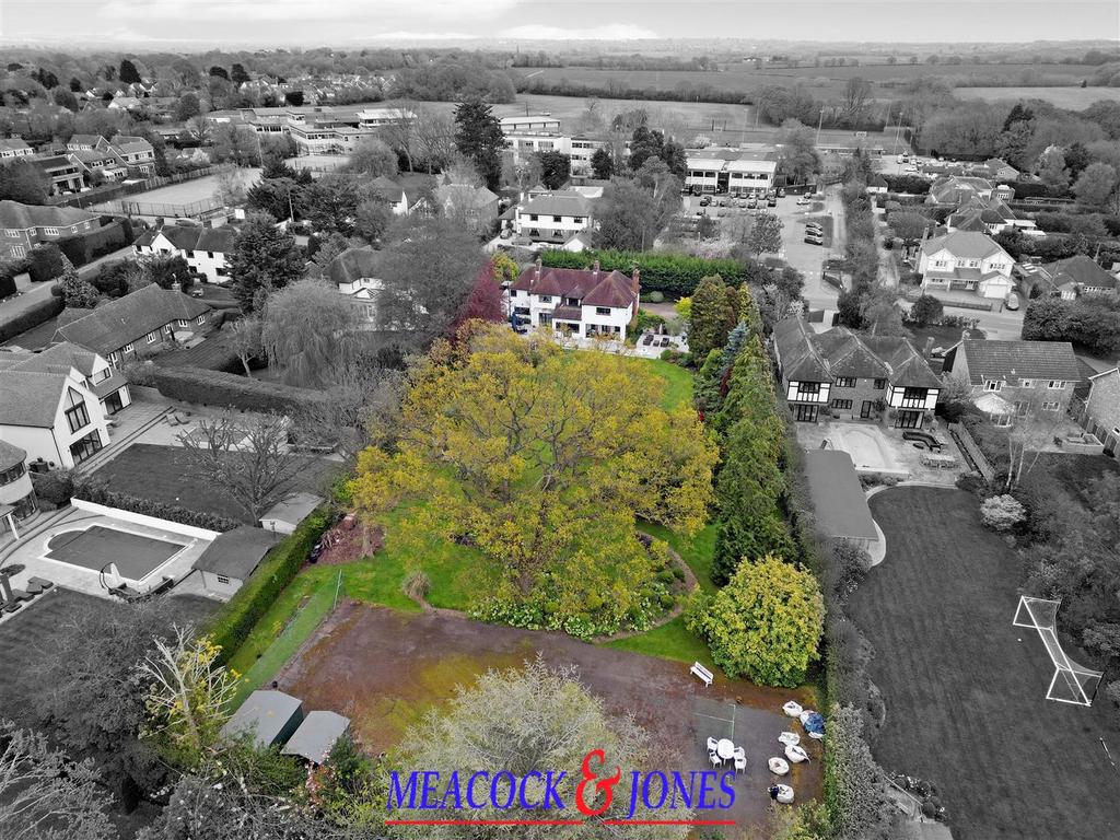 DJI 0134dp copy bw.jpg