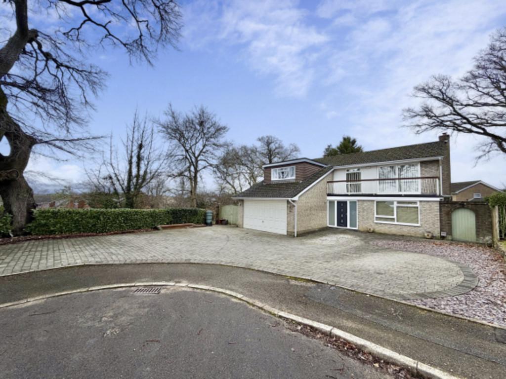 Front Shot