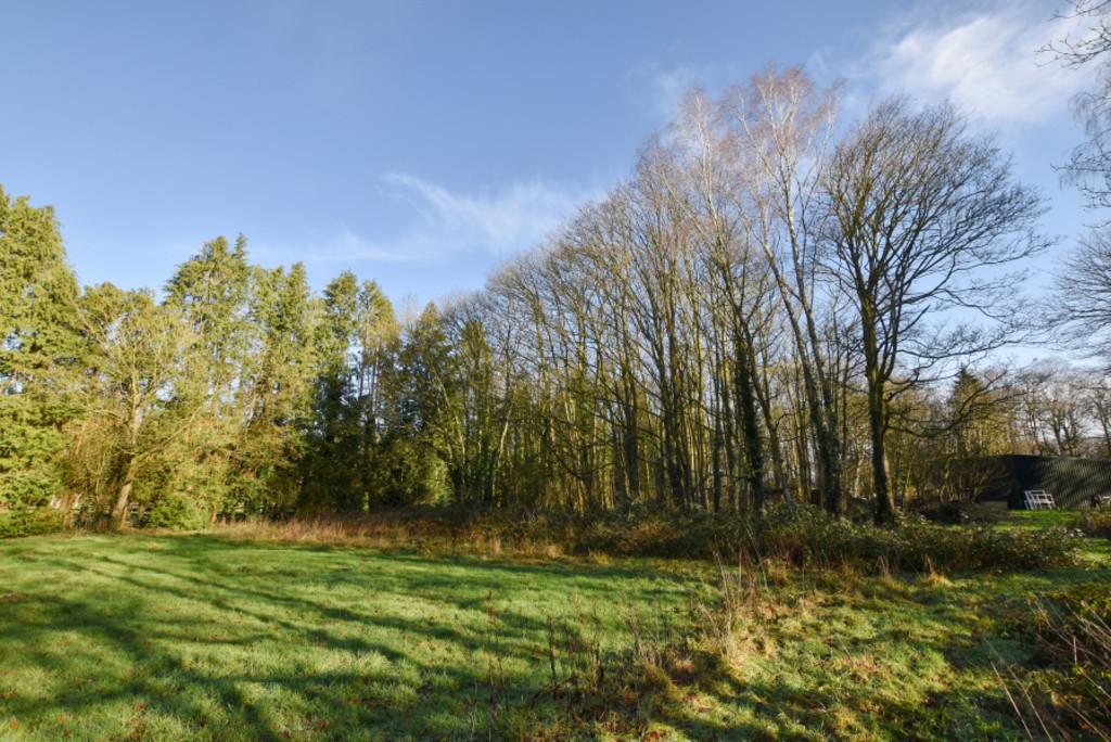 Field View
