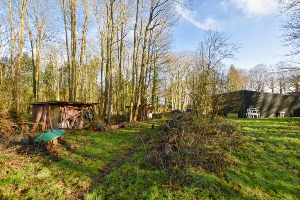 View back to Workshop