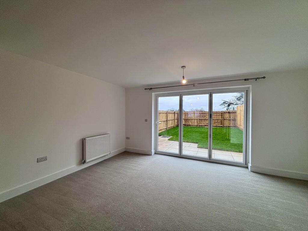 Img 1075