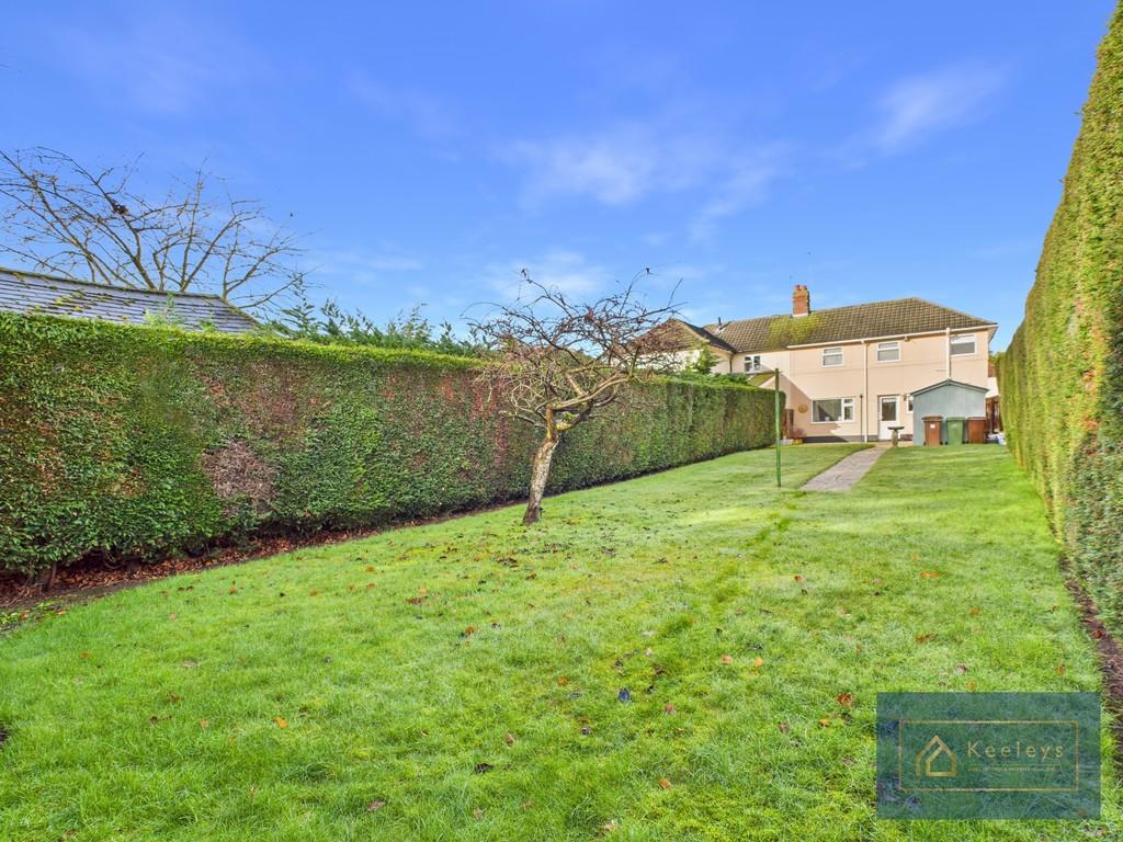 Back Garden