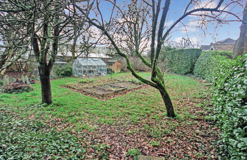 Vegetable garden