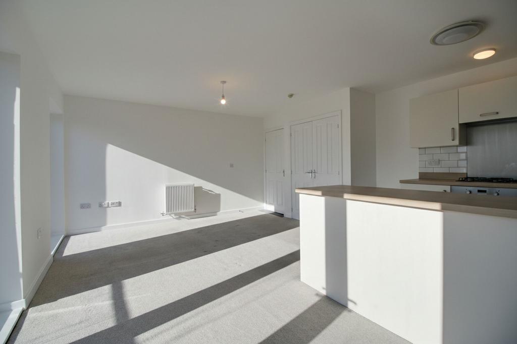 Open-Plan Living Room/Kitchen