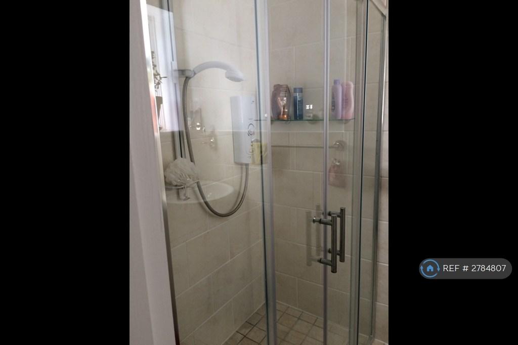 Wetroom Shower