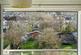 Additional image 16 of Carden Avenue, Brighton, BN1