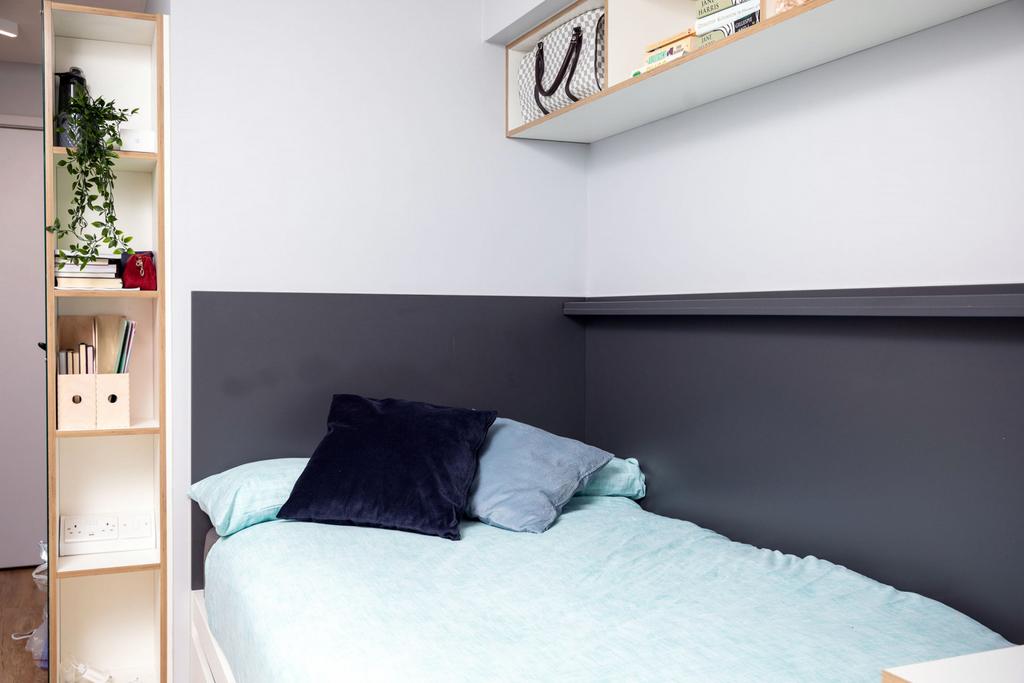 7753960.jpg