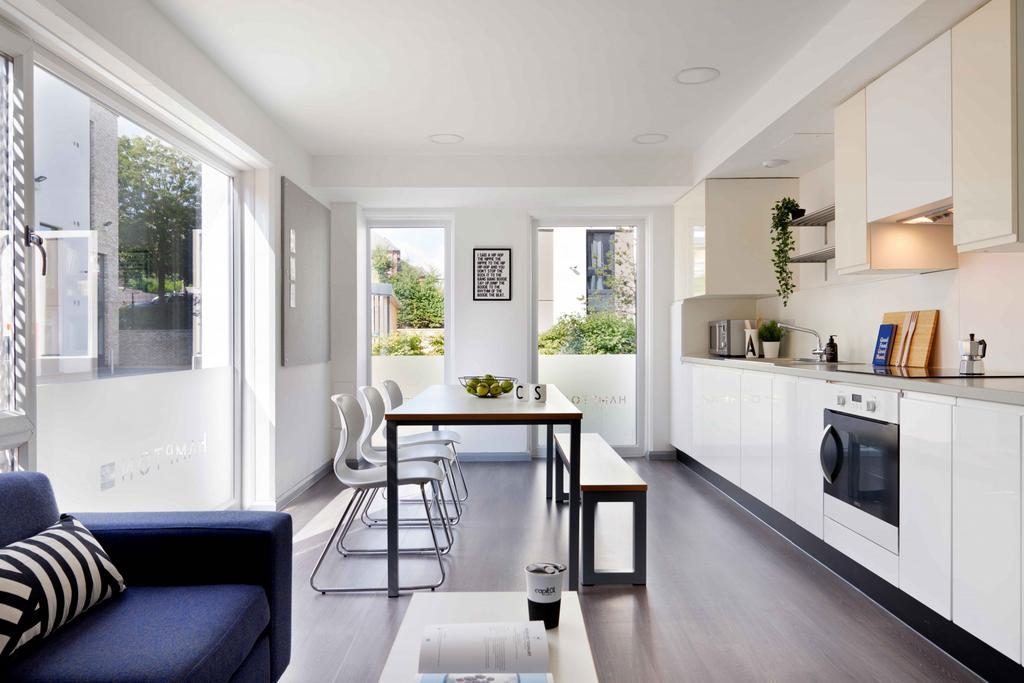 Shared Flat Kitchen