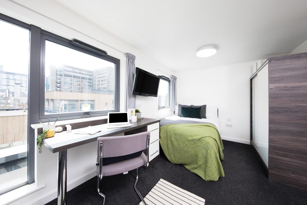 8405268.jpg