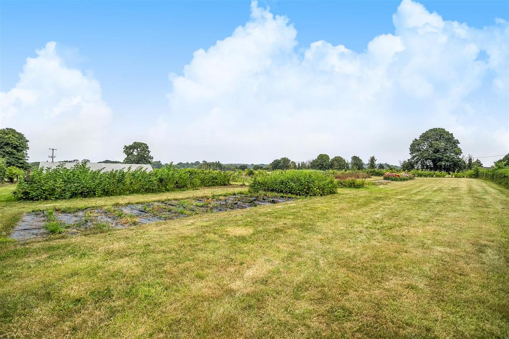 Paddocks available by separate negotiation.jpg