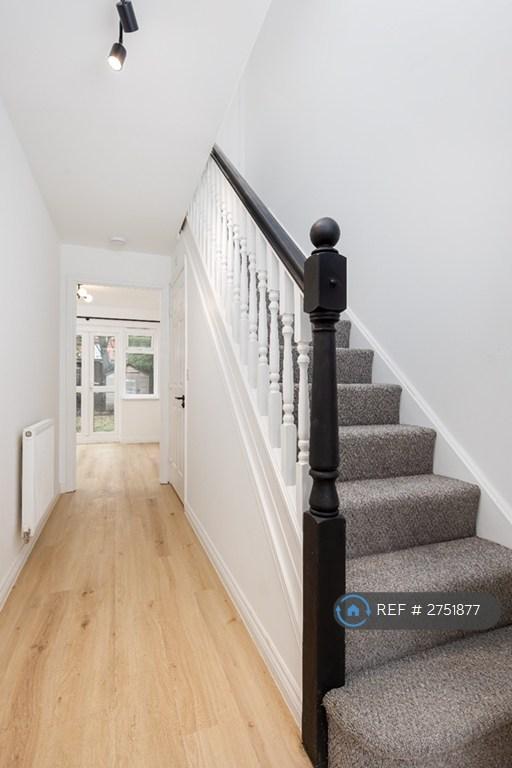Downstairs Hallway