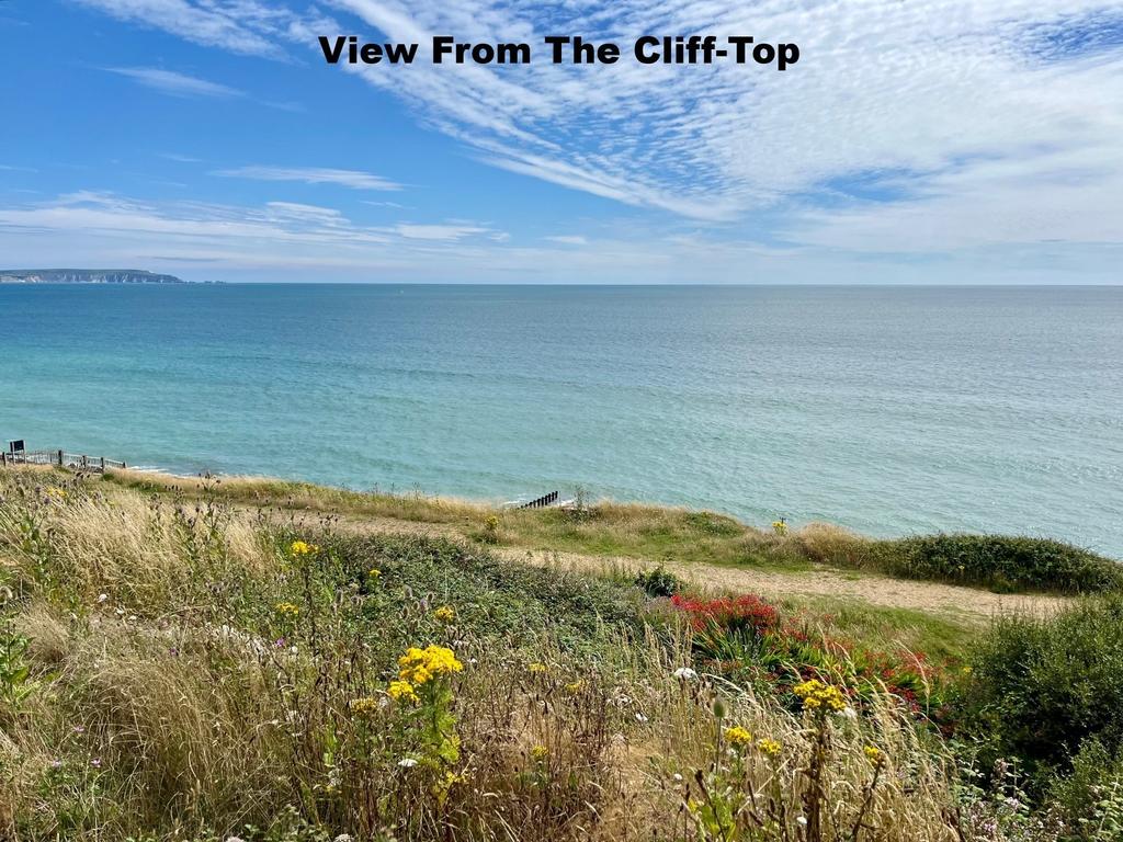 Cliff-Top View