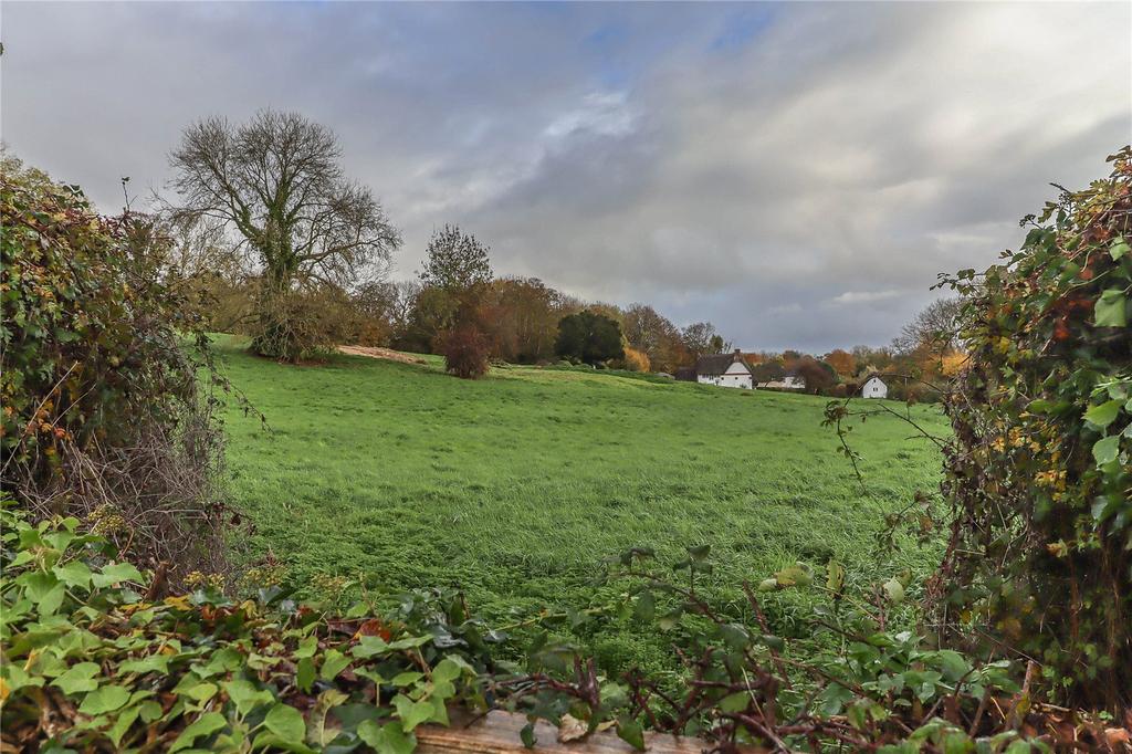 Picture No. 37