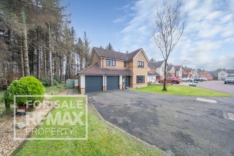undefined, Bluebell Glade, Livingston EH54