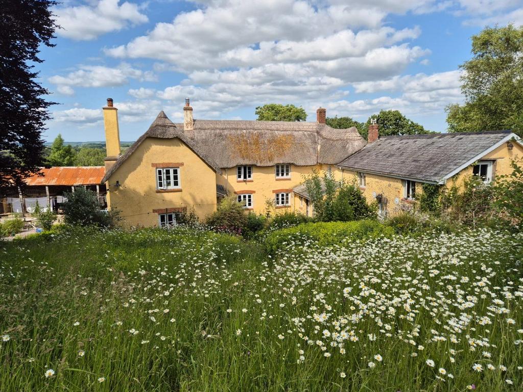 Down Farm