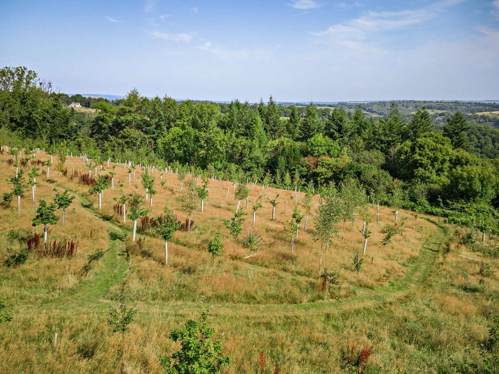 Woodland