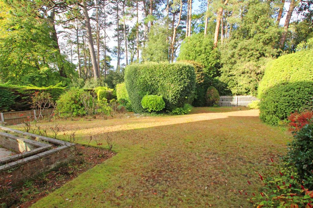 REAR GARDEN.jpg