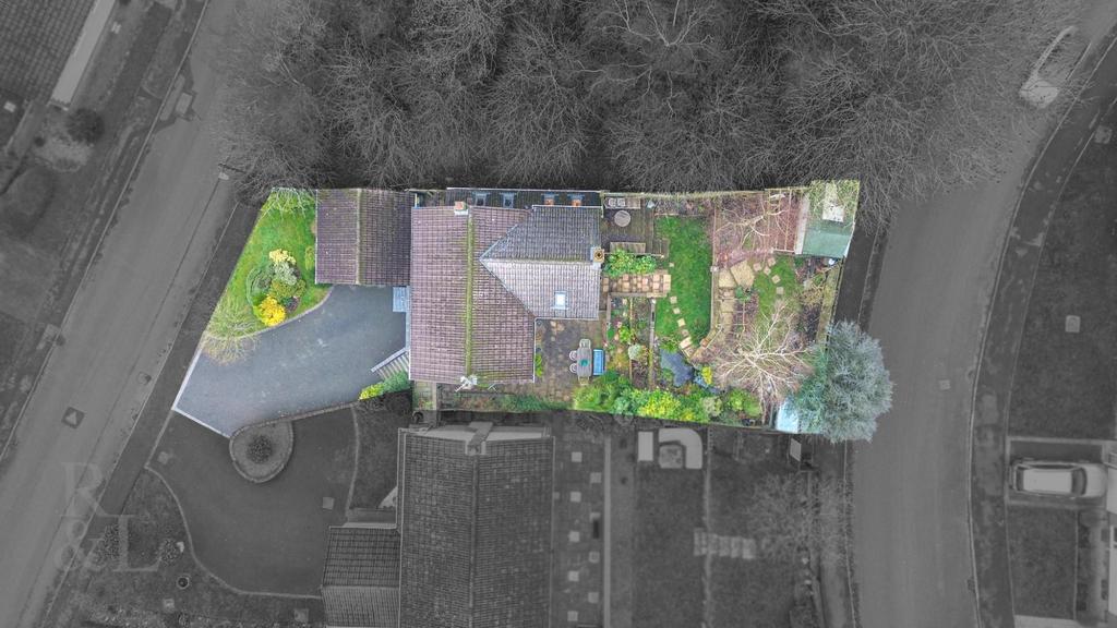 Drone.jpg