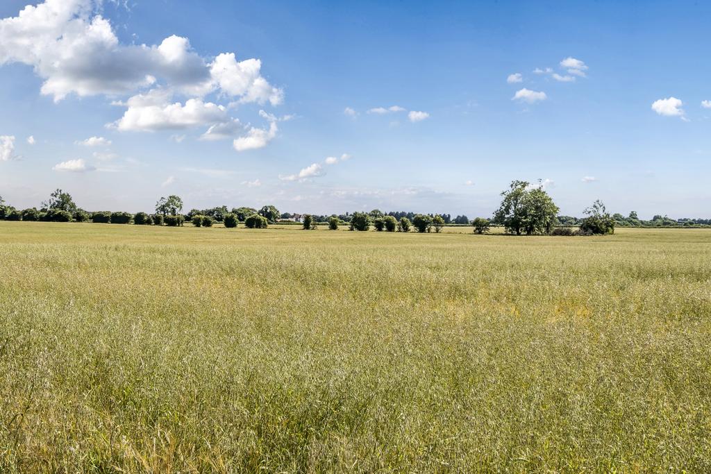 Field View