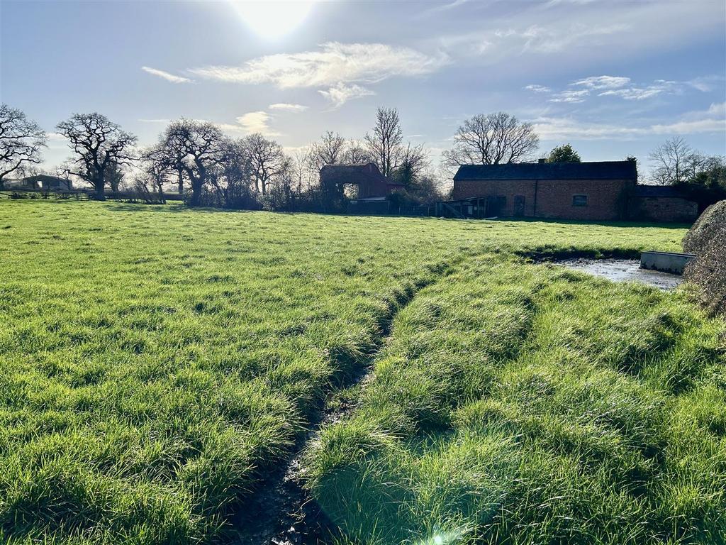 Field 6.JPG
