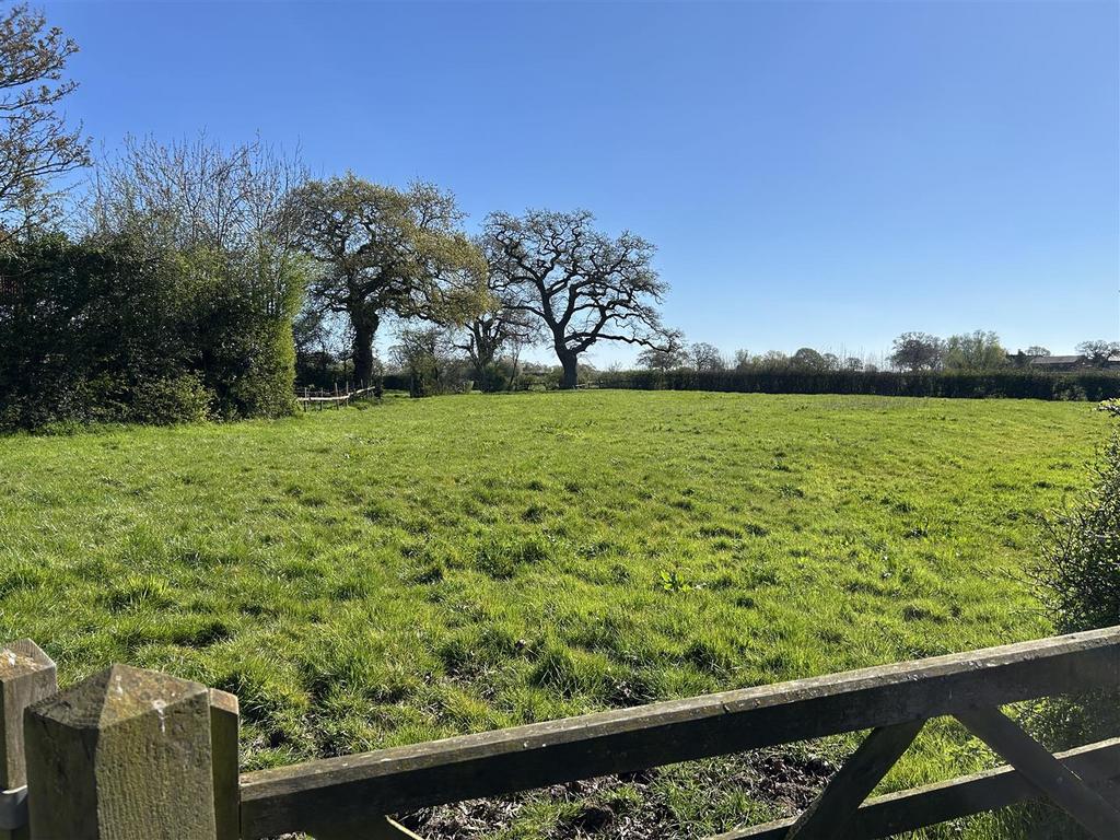 Side paddock.JPG