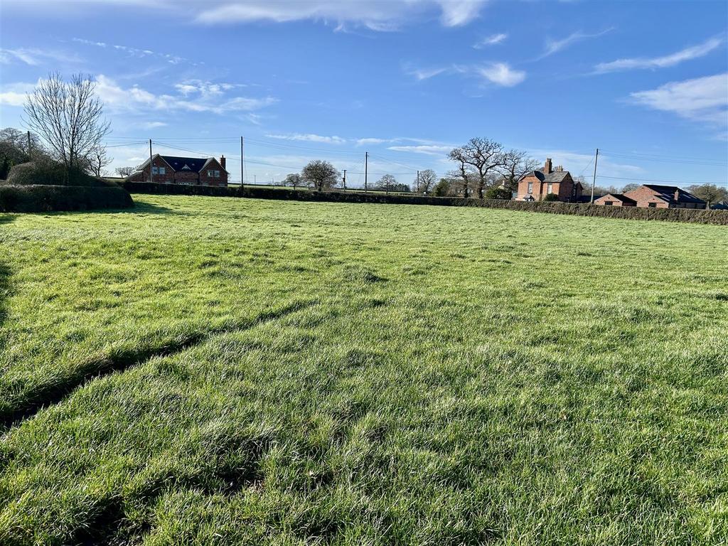 Field 5.JPG