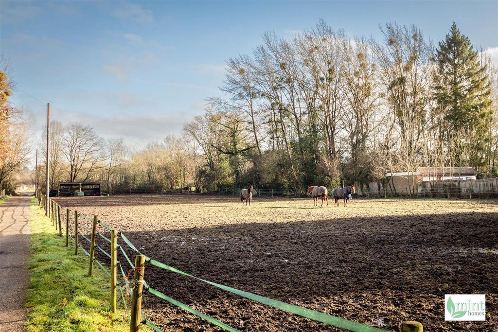 Bagshot Road - Watermark-28.jpg