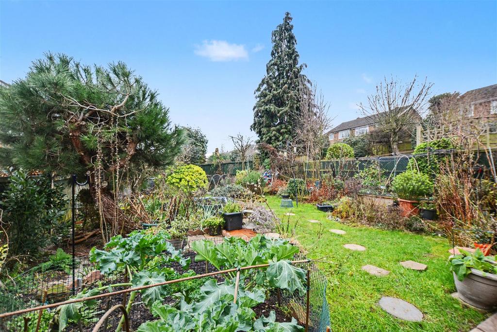 Garden 4.jpeg