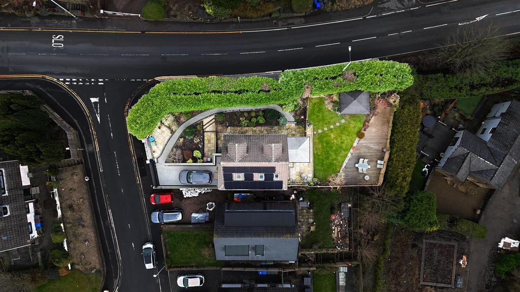 DJI 20260131121145 0008 D.jpeg