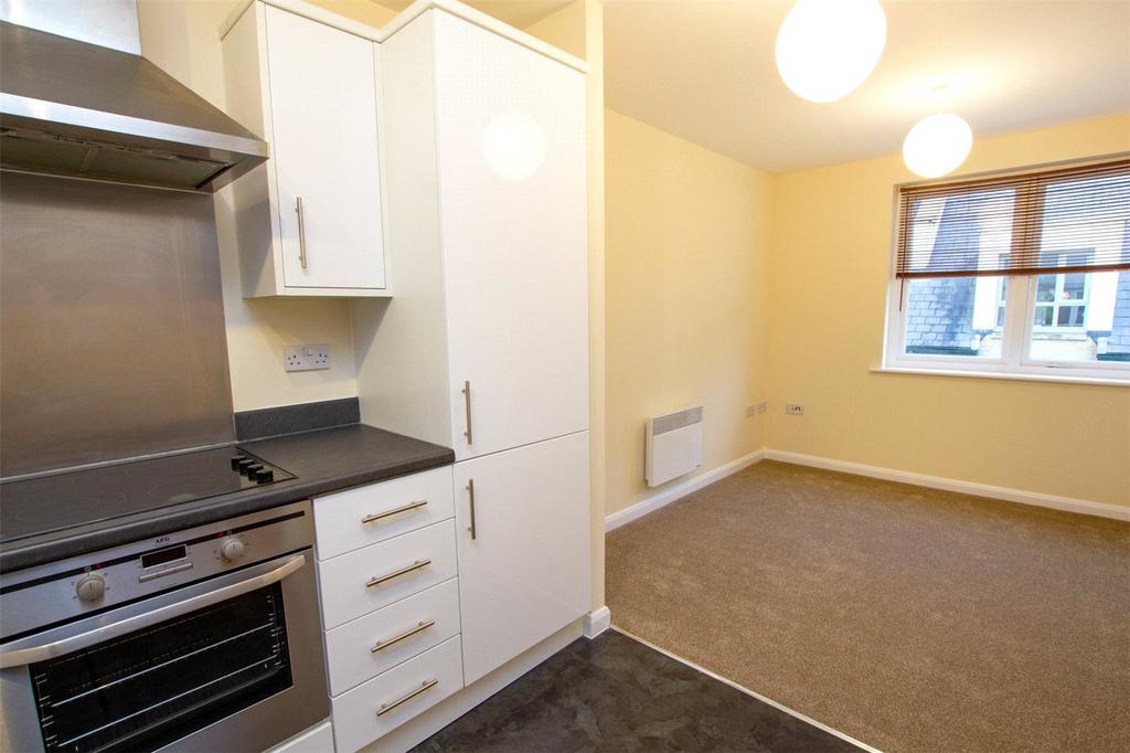 Kitchen/Living Area