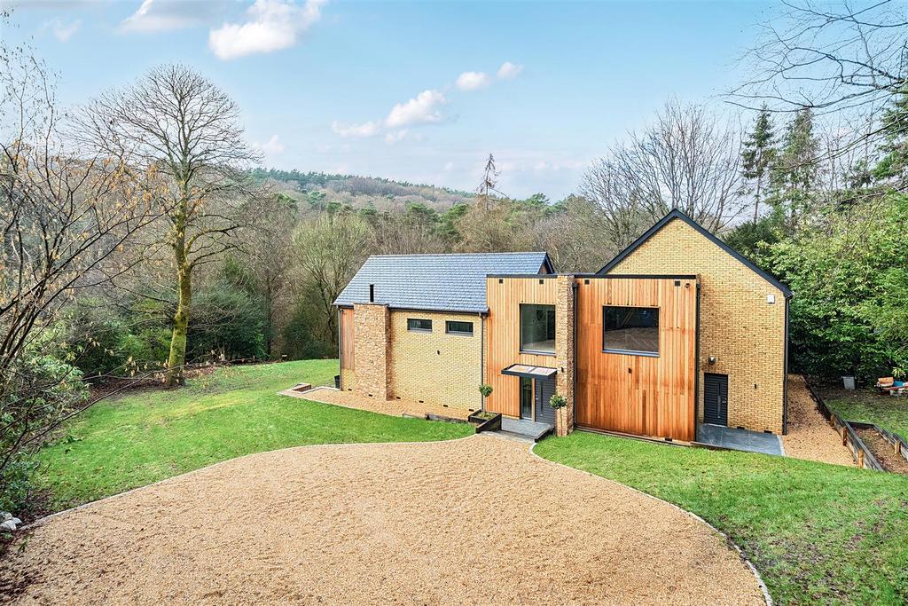 Elevated (9).jpg