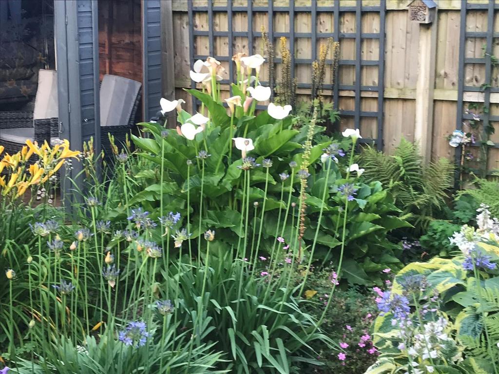 Garden 3.jpg