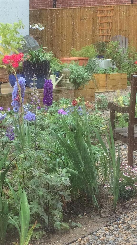 Garden 6.jpg