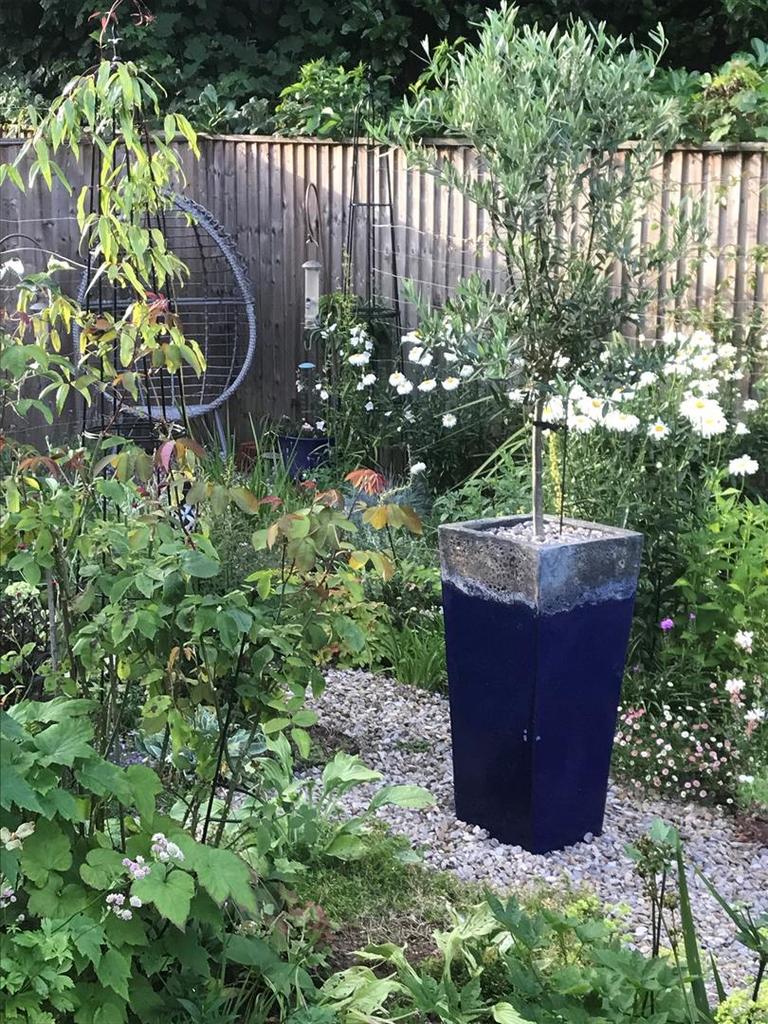 Garden 1.jpg