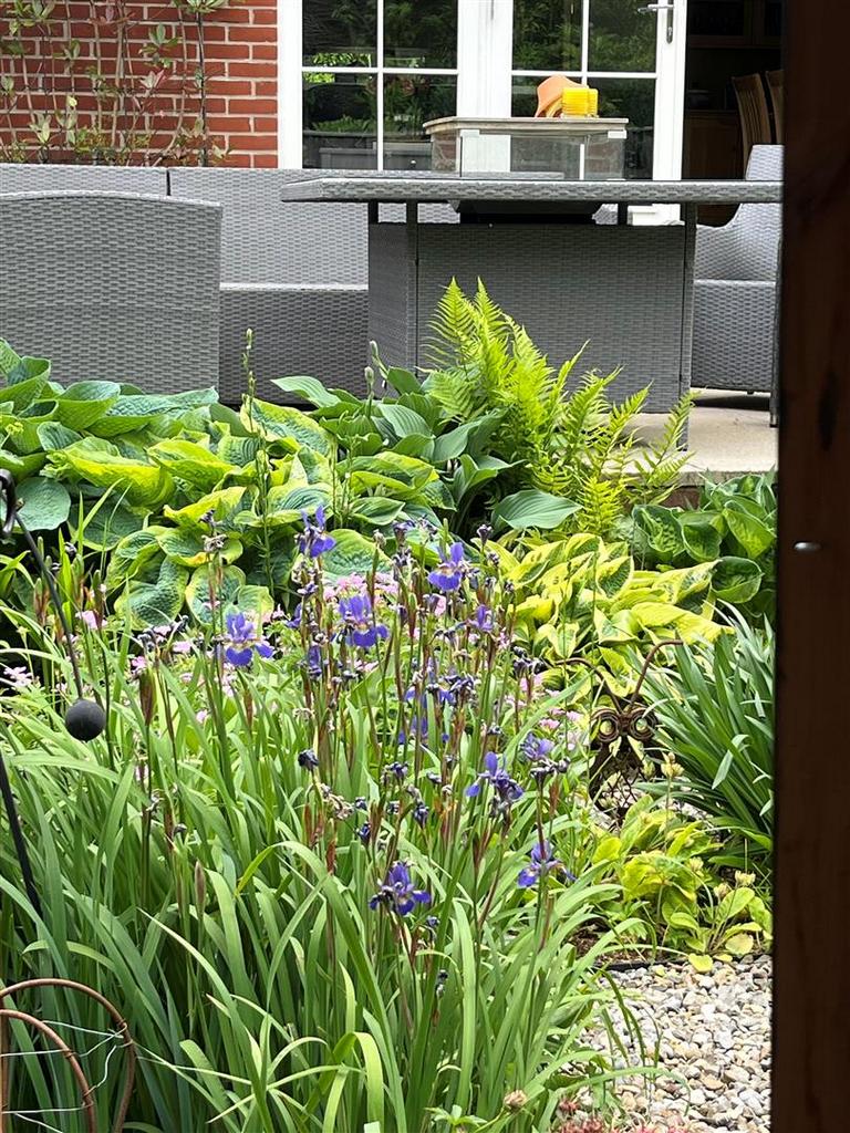 Garden 7.jpg
