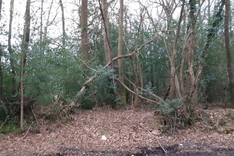 undefined, Land In Surrey, Fisher Lane, Chiddingfold, GU8