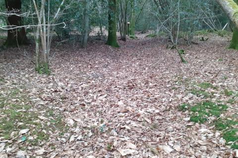 Land for sale, Land In Surrey, Fisher Lane, Chiddingfold, GU8