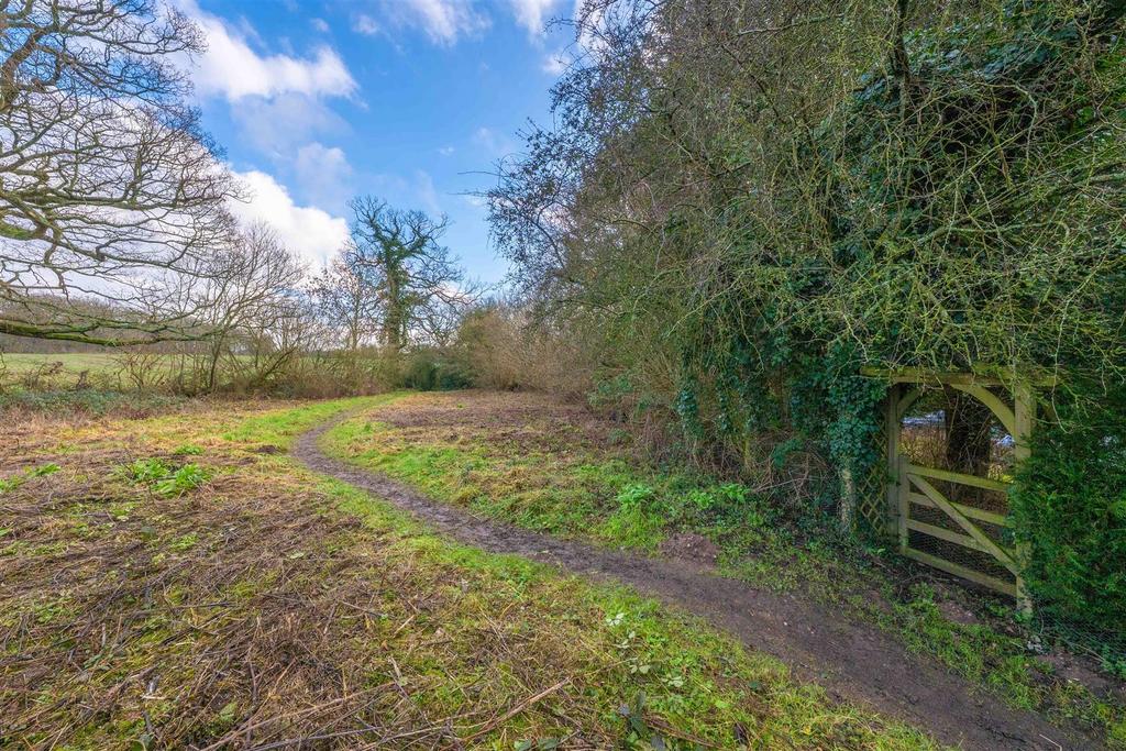 Pasture Land