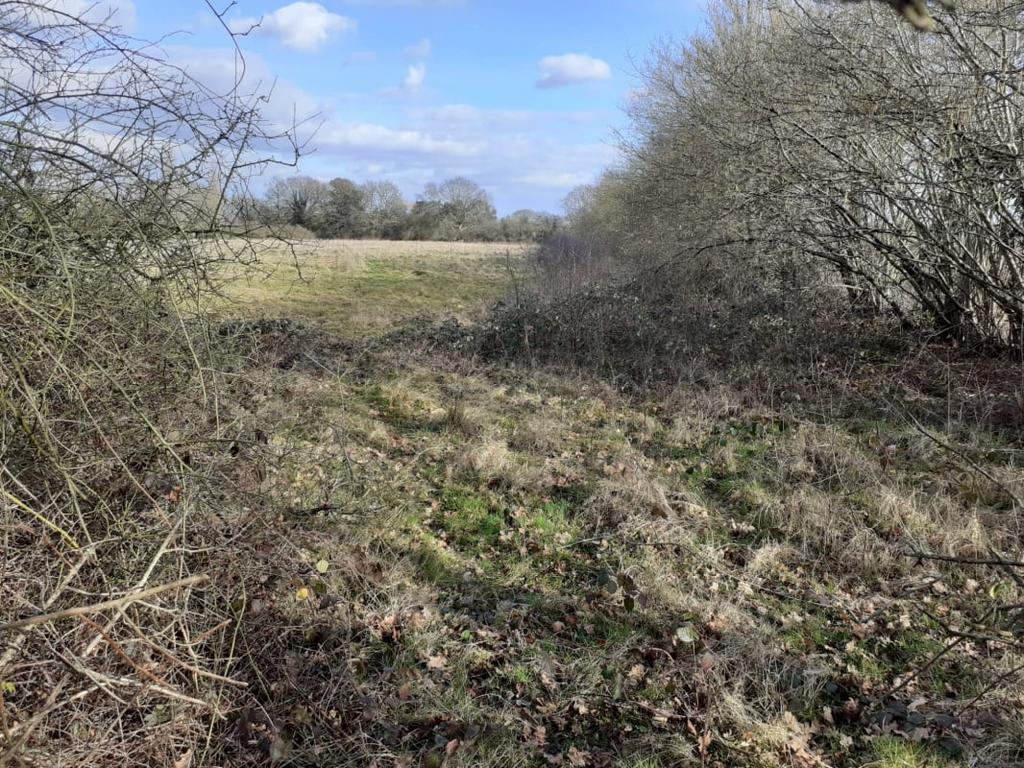 Land in Surrey, Corner of Pikes Lane & Crowhurst Village Rd, Crowhurst, RH7 - More