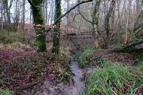 undefined, Pinkwood Lane, Bruton BA10