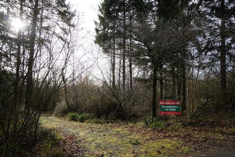 undefined, Pinkwood Lane, Bruton BA10
