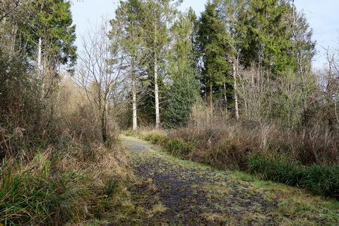 undefined, Pinkwood Lane, Bruton BA10
