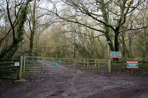 Woodland for sale, Pinkwood Lane, Bruton BA10