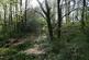 Pinkwood Lane, Bruton BA10