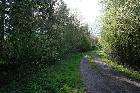 Woodland for sale, Pinkwood Lane, Bruton BA10